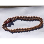 Medium Rudraksha with silver Chanting Beads